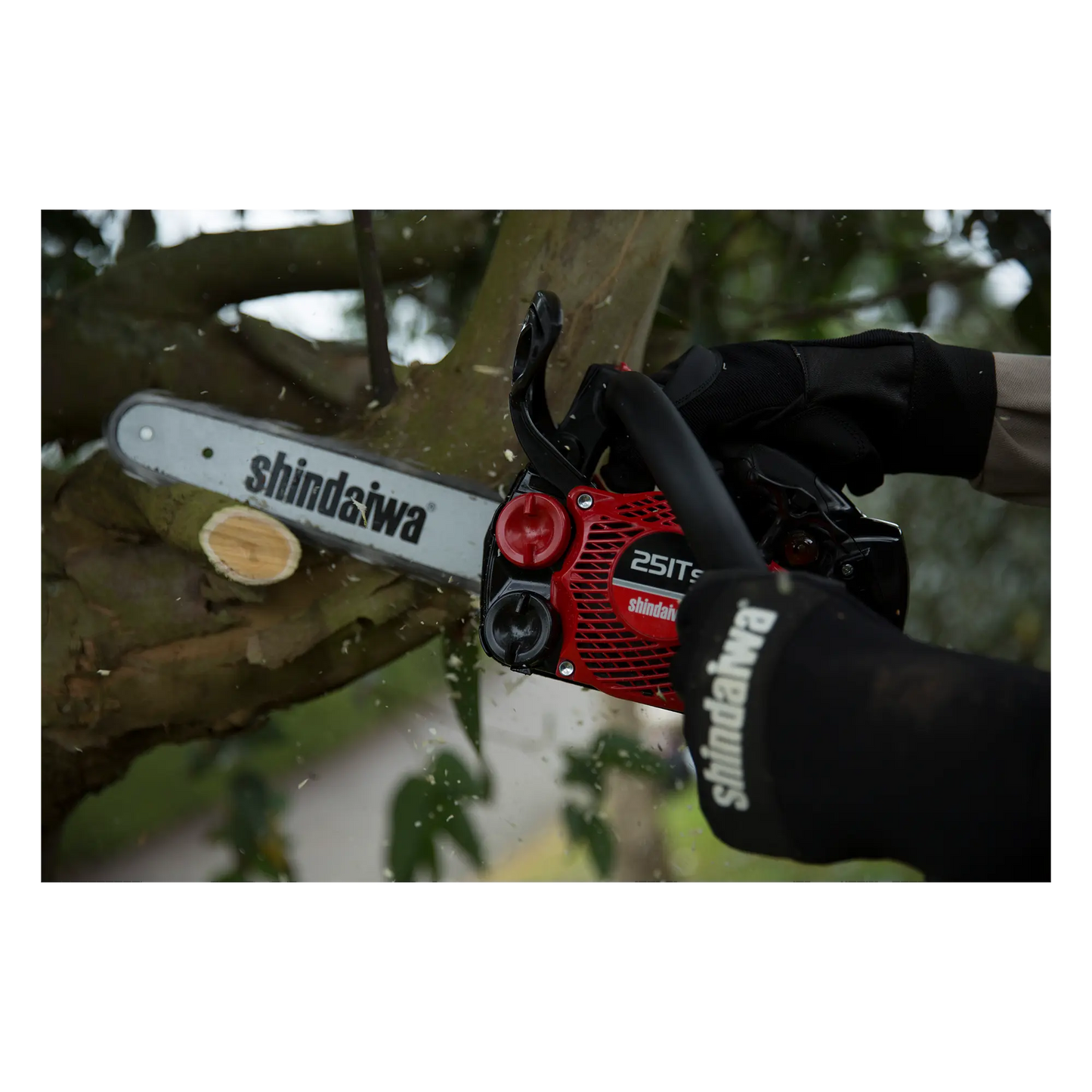 Shindaiwa Chainsaw - 251TS Shindaiwa