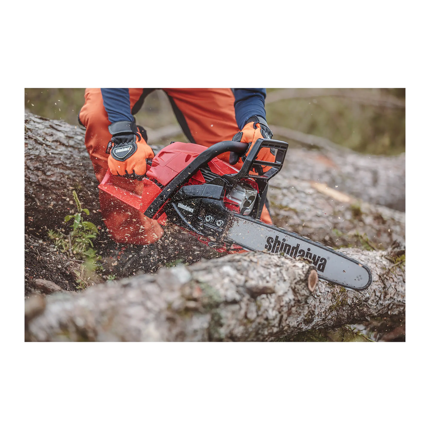 Shindaiwa Chainsaw - 451S Shindaiwa