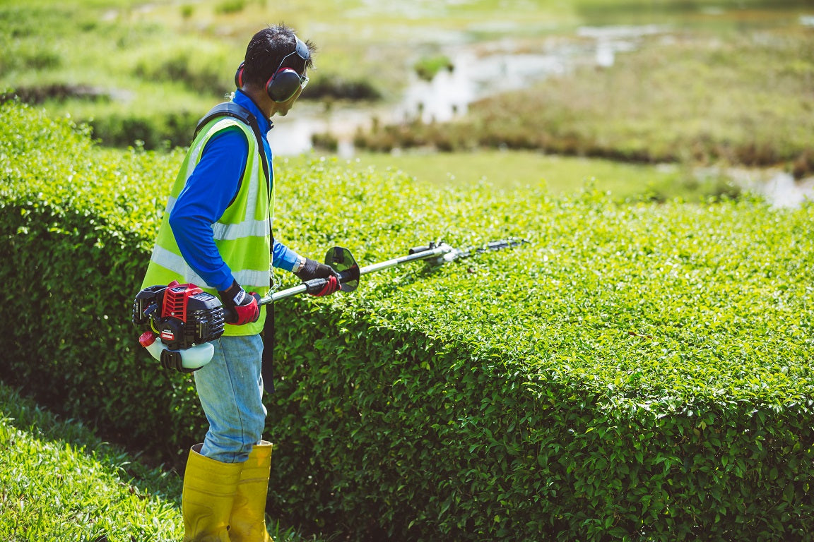 Shindaiwa Long Reach Hedge Trimmer - AH262S-HD