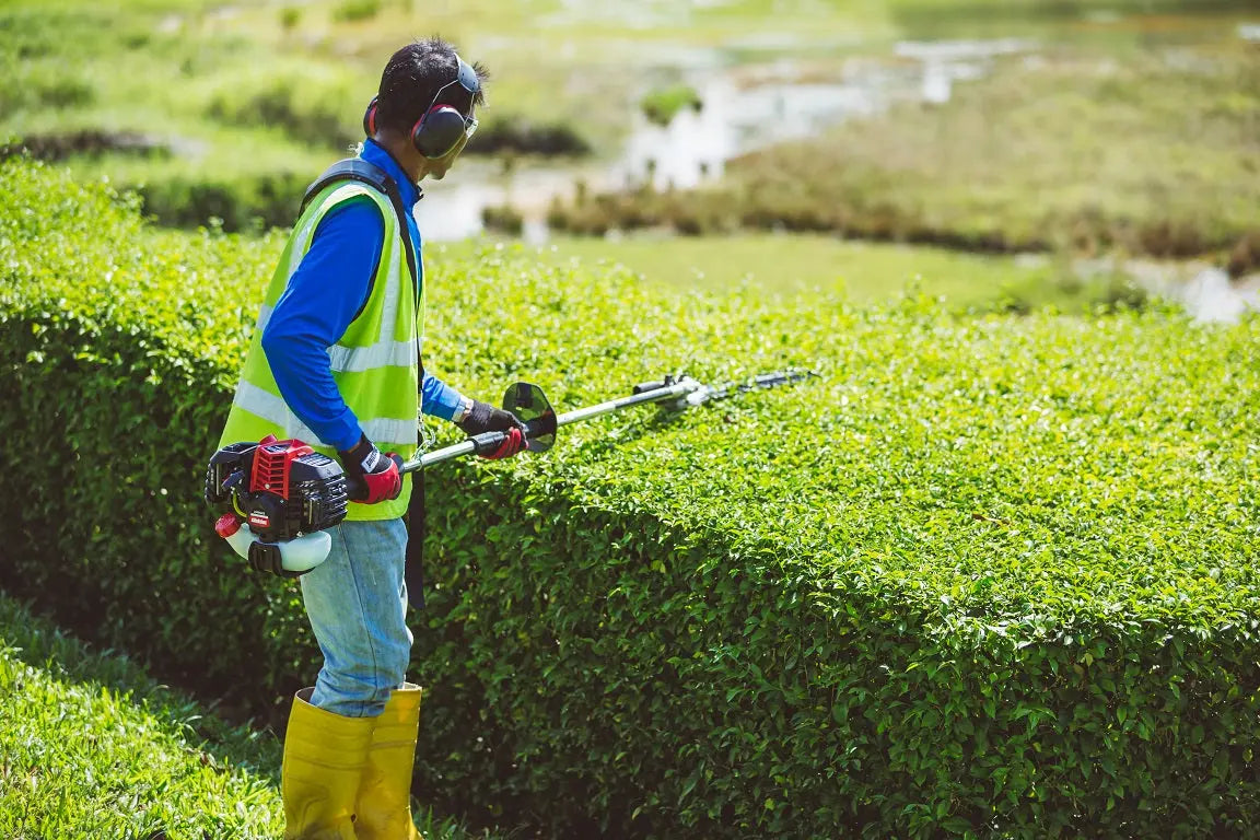 Shindaiwa Long Reach Hedge Trimmer - AH262S-HD Shindaiwa