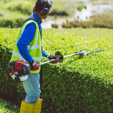 Hedge Trimmers-gardenmachinery.ie
