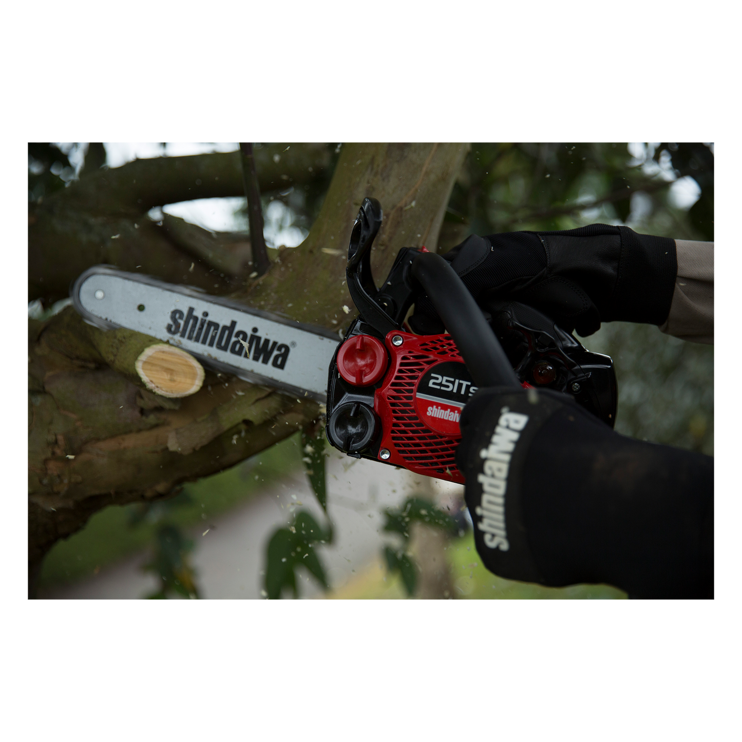 Shindaiwa Chainsaw - 251TS