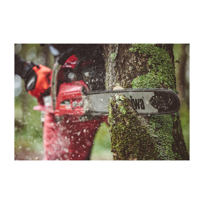 Shindaiwa Chainsaw - 501SX